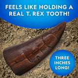 National Geographic Dinosaur Fossil Dig Kit with Dino Book for Kids 8-12