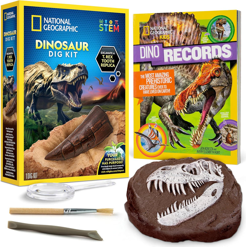 National Geographic Dinosaur Fossil Dig Kit with Dino Book for Kids 8-12