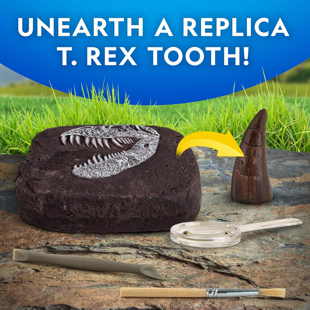 National Geographic Dinosaur Fossil Dig Kit with Dino Book for Kids 8-12